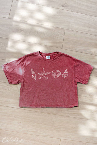 Seashell Row Graphic Tee