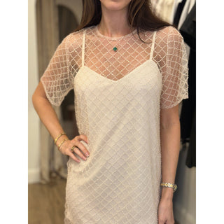 shift dress in cream mesh with sequins design 